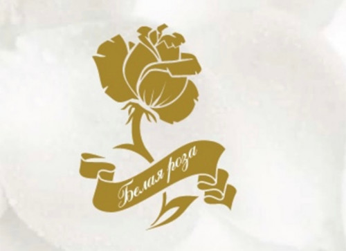 Проект "ВЕСНА студенческого здоровья"