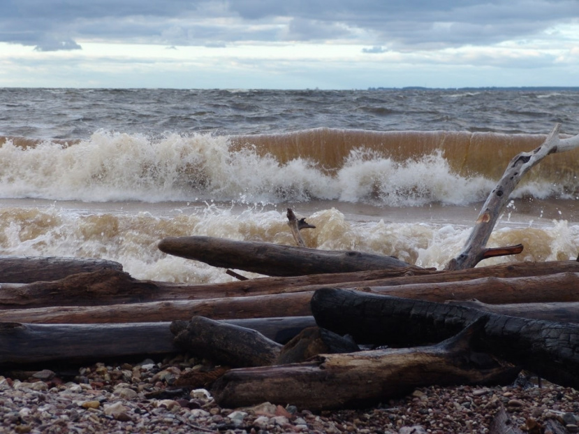 Фотоконкурс «Волга в сердце впадает мое!»