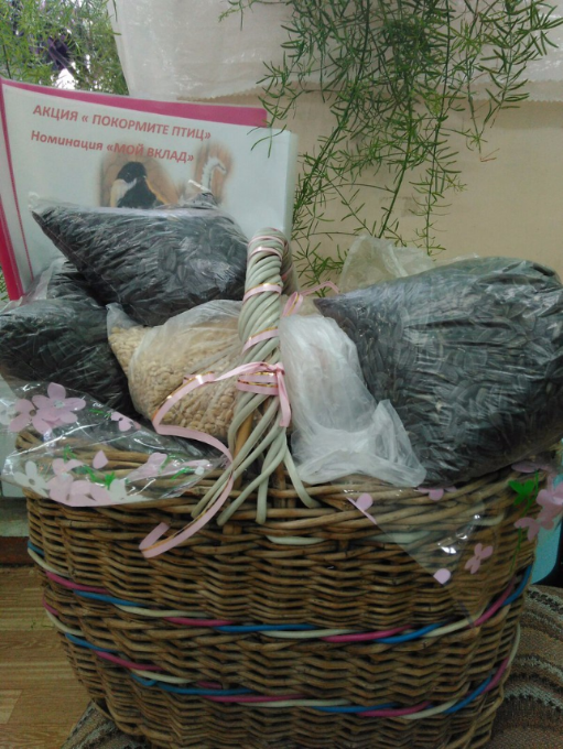 Под эгидой Года экологии